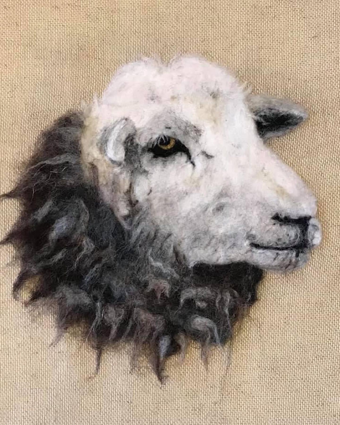 Needle Felt a Herdwick Sheep